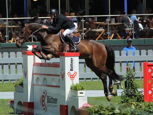 期的购票紧 期的购票紧