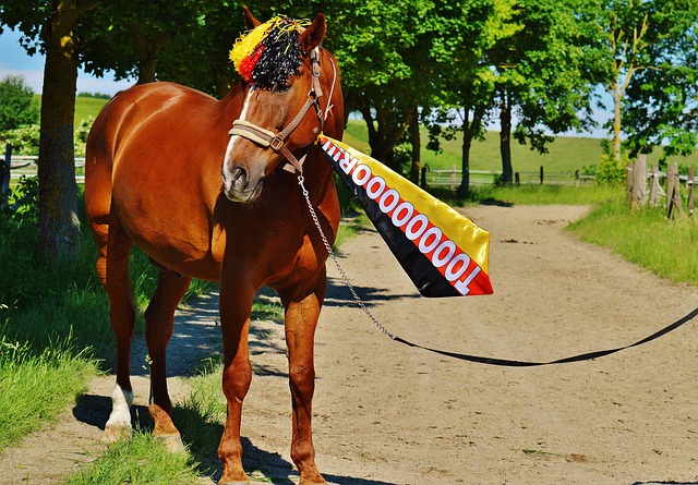 是其管理層 是其管理層