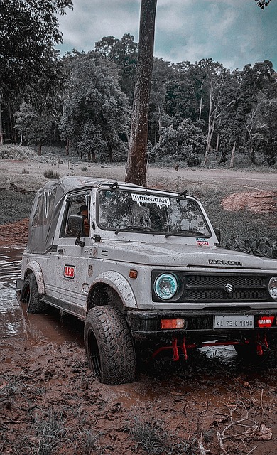 经崭露头角 经崭露头角