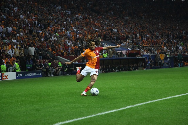 辉煌表现 辉煌表现