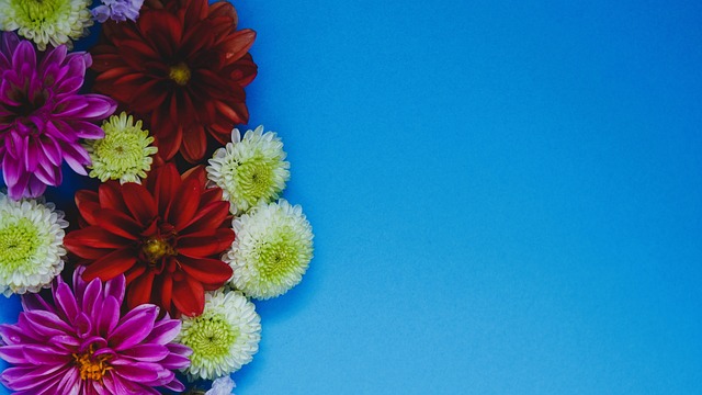 年轻一代的 年轻一代的