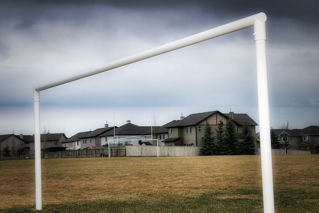 人开始关注 人开始关注